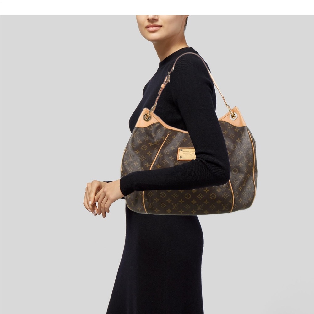 Louis Vuitton hobo brown monogram bag